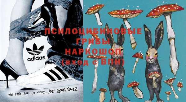 ешки Балахна