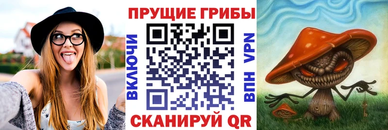 Псилоцибиновые грибы Magic Shrooms  купить наркотик  Котлас 